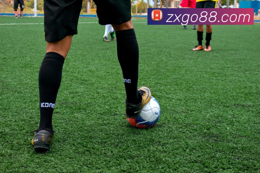 众星娱乐官网品牌故事