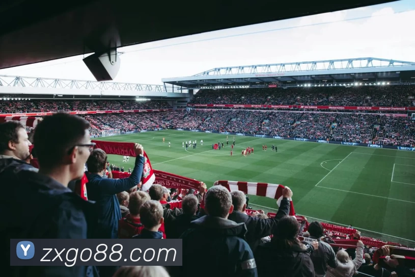 众星娱乐官网服务体系